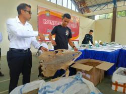 Ribuan Kilogram Hewan Kering Senilai Rp1,3 M Gagal Diselundupkan ke Vietnam dari Batam