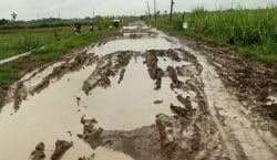 Warga Desa Sidaharja Tegal Keluhkan Jalan Berlubang, Minta Pemkab Lakukan Rabat Beton