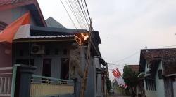 Petugas Pemadam Kebakaran Jombang Diserang Tawon Beracun, Begini Kondisinya