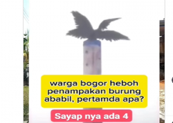 Viral Burung Bersayap 4 Muncul di Bogor Hebohkan Warga, Netizen Sebut Burung Ababil?