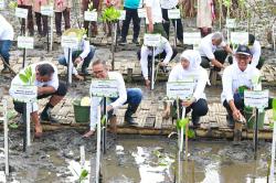 Dukung Konservasi Hayati Mangrove di Jawa Timur, SIG Tanam 17.845 Bibit Bakau di Probolinggo