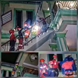 Damkar Palangka Raya Evakuasi Sarang Tawon Vespa Berbahaya di Bawah Tangga Lantai 3 Rumah Warga