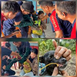 Damkar Barito Selatan Berhasil Evakuasi Kail Pancing dari Mulut Anjing Peliharaan Warga