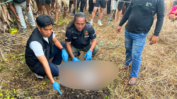 Polres Sarmi Bongkar Misteri Penemuan Jasad Bayi, Awalnya Dilaporkan Kasus Penculikan