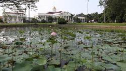 Viral Dugaan Pungli di Kebun Raya Bogor, KDM akan Panggil Dinas Pariwisata