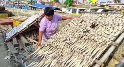 Wow! Ikan Asin di Pandeglang Raup Omzet Belasan Juta per Hari