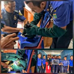 Kucing di Barito Selatan Tertancap Kail Pancing, Dievakuasi Petugas Damkar