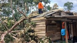 Rumah Warga Parittiga Hancur Tertimpa Pohon Durian