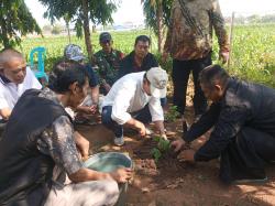 Pelestarian Alam dan Warisan Budaya, Kemenyan Putih Ditanam di Candi Lor Nganjuk