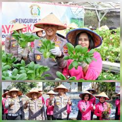 Kapolda Kalteng dan Bhayangkari Panen Sayur Dukung Program Ketahanan Pangan Nasional