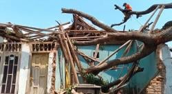 Berikut Rincian Bangunan Warga Terdampak Angin Kencang dan Pohon Tumbang di Kuningan