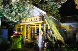 Update Angin Kencang di Kuningan: 60 Rumah dan Sejumlah Fasilitas Umum Rusak