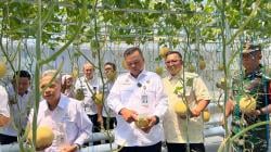 WBP Sukses Hasilkan 1,2 Ton Melon di Lapas Sukamiskin