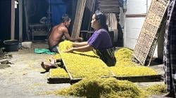 Harga Tembakau Rajang di Bojonegoro Anjlok akibat Kemarau Basah