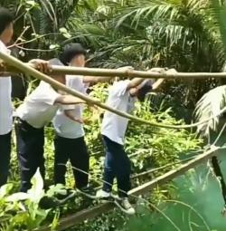 Viral! Anak Sekolah di Tanggamus Bertaruh Nyawa Lewati Jembatan Gantung Rusak