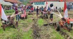 Balap Traktor di Sawah Pangandaran, Ribuan Warga Histeris Saat Petani Aksi Gila di Lumpur