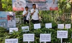 700 Bibit Alpukat Aligator Dibagikan Pemkab Pesawaran, Target Jadi Komoditas Unggulan Desa