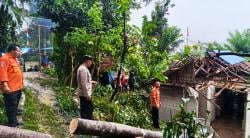 Rumah Hancur Tertimpa Pohon Tumbang di Hantara, Korban Mengungsi