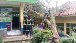 Atap Bangunan Sekolah di SDN Cigintung Rusak usai Tertimpa Pohon Tumbang
