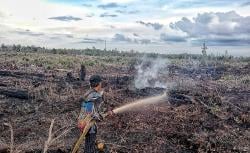 Tim Dalkarhutla Padamkan Kebakaran Lahan Gambut di Kelurahan Sabaru, Palangka Raya