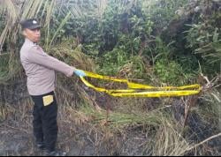 Petani di Aceh Utara Ditemukan Meninggal Dunia Saat Bekerja di Kebun