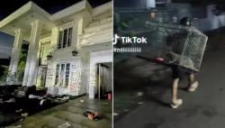 Kucingan Kesayangan Harga Fantastis Ikut Dijarah Massa, Uya Kuya Merasa Sedih
