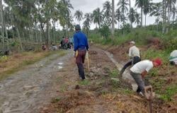 Cegah Jalan Tergenang, Warga Mekarsari Agrabinta Kompak Bersihkan Selokan