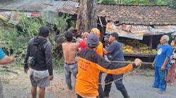 Pohon Tumbang Timpa Dua Pengendara di Patebon, Satu Luka-Luka Serius