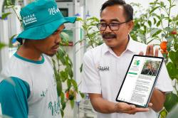 Plantastic, Aplikasi Pintar Pupuk Kujang yang Jadi Sahabat Petani