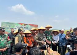 MPW Pemuda Pancasila Banten Bersama TNI dan Pemkot Serang Berhasil Wujudkan Panen Raya Padi