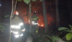 Diduga Dibakar Oknum, Lahan Jati Milik Warga Baureno Bojonegoro Dilalap Api