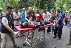 Tertimpa Pohon Tumbang di Jalan Lintas Komering, Warga OKU Timur Ini Meninggal Dunia di Tempat