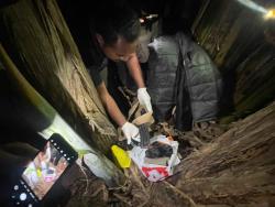 Warga Temukan Amunisi dan Air Softgun, Polres Jayapura Lakukan Olah TKP