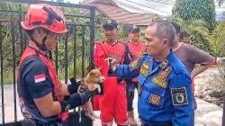 Evakuasi Anak Anjing Terjepit Pagar Berlangsung Dramatis di Palangka Raya