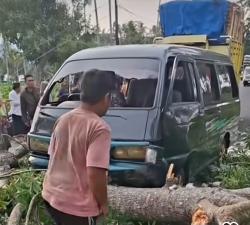 Angin Kencang, Pohon Tumbang Timpa Mobil di Jalan Raya Maesan