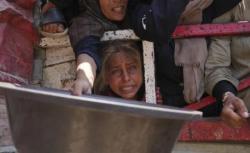 Pertemuan Tribunal, Fakta Terkait Gaza Terungkap