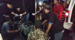 Geger di Pandeglang! Tunawisma Ditemukan Tewas di Tumpukan Sampah Pasar Labuan