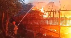Tragis! Kandang Ayam di Lebak Ludes Dilalap Api, 8500 Ayam Mati Terpanggang,