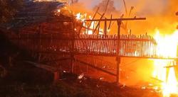 Ribuan Ayam Broiler Mati Terbakar, Kerugian Rp400 Juta