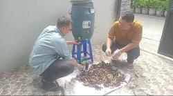 Tiga Dosen Ini Ubah Limbah Pisang Jadi Pupuk Organik, Produktivitas UMKM di Gresik Meningkat Drastis
