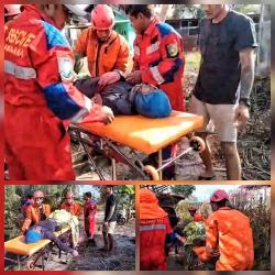 Diserang kawanan Tawon saat Menebas di lahannya Sendiri, Pria Dievakuasi Damkar ke Rumah Sakit