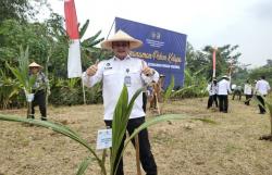 Lapas Serang Dukung Ketahanan Pangan Lewat Penanaman Kelapa Serentak