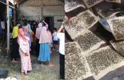 Empat Desa Diserbu Jutaan Lalat, Warga Geruduk Peternakan Ayam di Baureno Bojonegoro