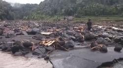 4 Korban Tewas Terseret Banjir di Flores NTT  Ditemukan, Tertindih Pohon dan Bebatuan