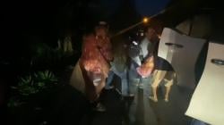 Kecelakaan di Jalan Rusak! Pasutri Asal Bayah Terjatuh, Suami Kritis di Cikulur