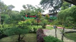 Taman Gajah Bolong, Oase yang Menghangatkan Kebersamaan Keluarga di Timur Bojonegoro