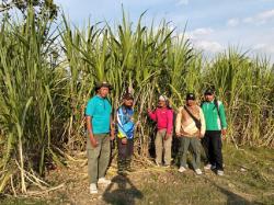 Antisipasi Kebakaran di Lokasi Agroforestry Tebu, Ini Yang Dilakukan Perhutani KPH Purwodadi