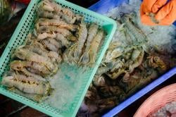 Udang Lebak-Pandeglang Ditolak Amerika, Pengusaha Desak Pemerintah Bertindak Cepat