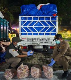Penyelundupan 10,8 Ton Ceker Ayam ke Sumatera Digagalkan Karantina Lampung