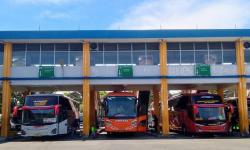 Banjir Bandang di Bali Lumpuhkan Jalur Bus, Penumpang Turun Drastis di Terminal Purabaya Sidoarjo